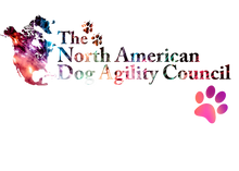 Load image into Gallery viewer, 4th of July  Long Sleeve Jersey Baseball Tee