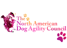 Load image into Gallery viewer, Spring Flowers Women's Baby Rib 3/4 Sleeve