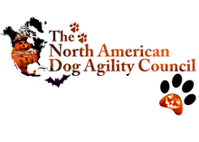 Load image into Gallery viewer, Halloween Women's Baby Rib 3/4 Sleeve