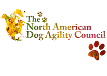 Load image into Gallery viewer, Fall Leaves Women's Baby Rib 3/4 Sleeve