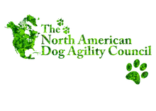 Load image into Gallery viewer, St. Patrick's Day Women's Baby Rib 3/4 Sleeve