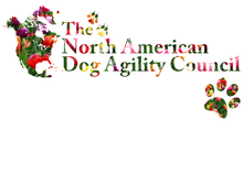 Load image into Gallery viewer, Spring Women's Baby Rib 3/4 Sleeve