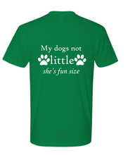 Load image into Gallery viewer, Fun Size