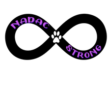 Load image into Gallery viewer, NADAC strong sticker